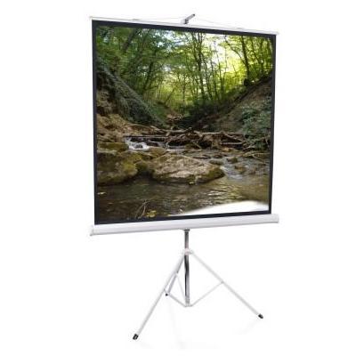 Elite Screens 119"(1:1) 214x214cm Tripod Series Pull Up, White